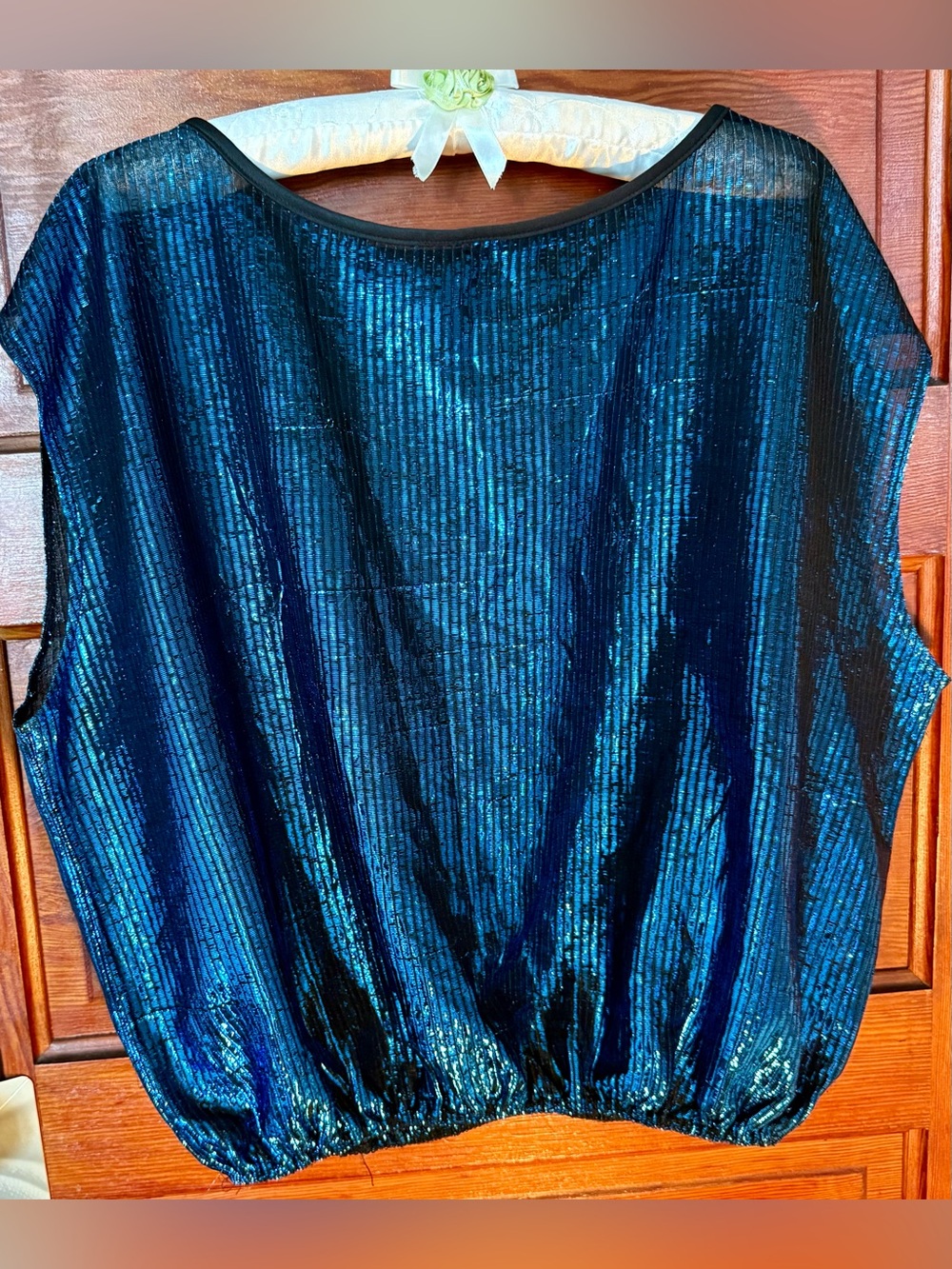 Shimmery Blue Sleeveless Iridescent Sheer Top Blouse Elastic Waist XL